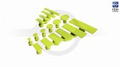Set of fungi Black Plague (16 pieces)