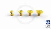 Set of fungi GT-2 (4 pieces)